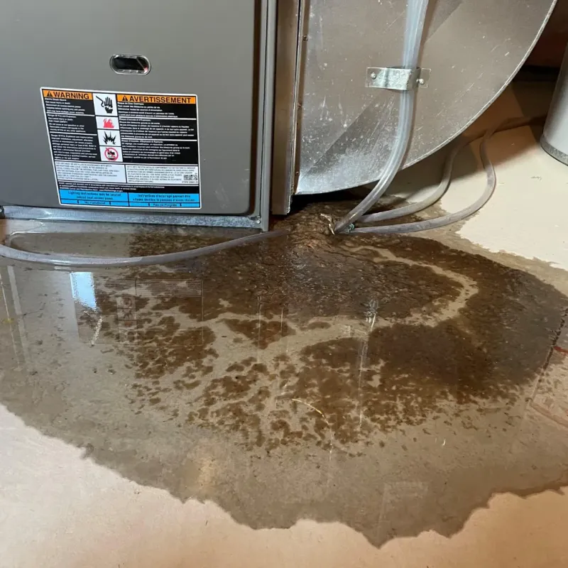 Appliance Leak Cleanup in Lakeview, OR